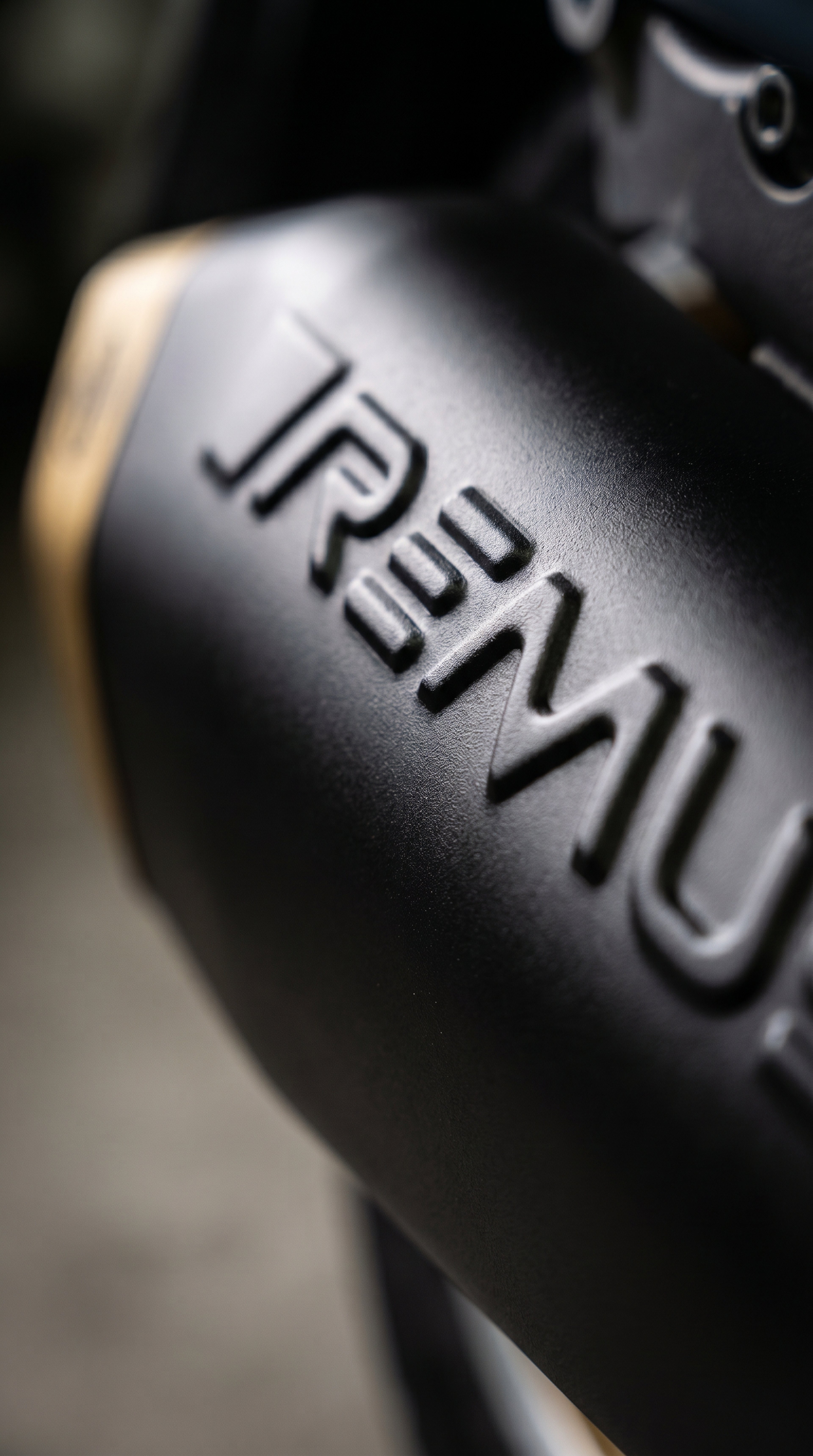 REMUS LOGO
